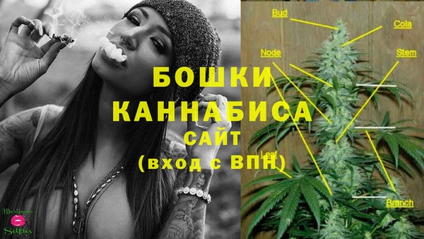 экстази Покачи