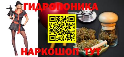 индика Гай